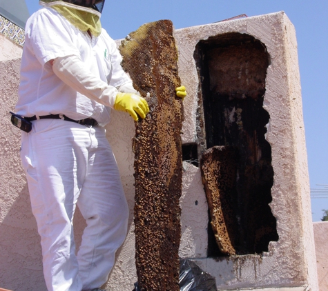 Mikol Bee Remover - Escondido, CA