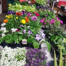 El Jardin Flowers and Garden Room - Garden Centers