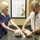 Arlington Pet Care Hospital - Veterinary Clinics & Hospitals