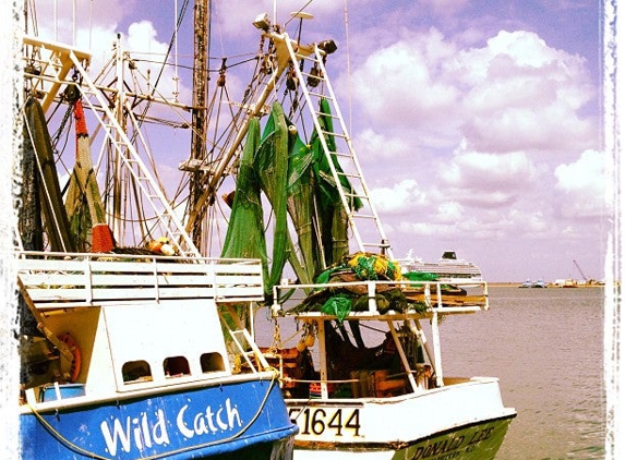 Wild Ocean Seafood Market - Cape Canaveral, FL