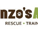 Enzos Dog Training - Pet Training