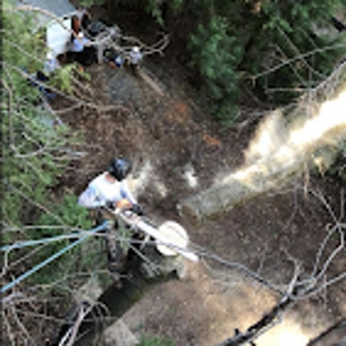 Crown Tree Service - Nevada City, CA