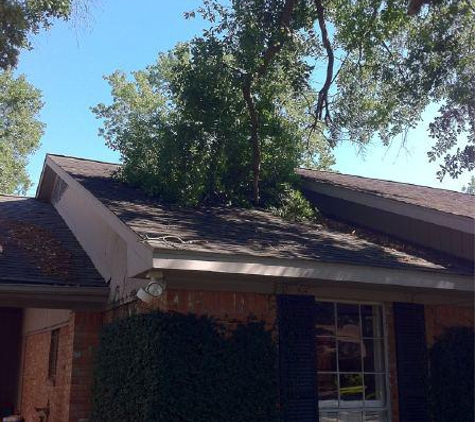 Don's Tree Service - Houston, TX