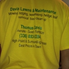 Davis Lawns & Maintenance