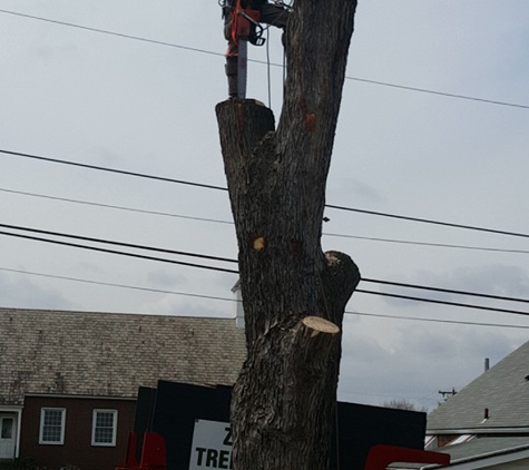 Zambo's Tree Service - Somerset, PA