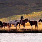 Colorado Photo Workshops