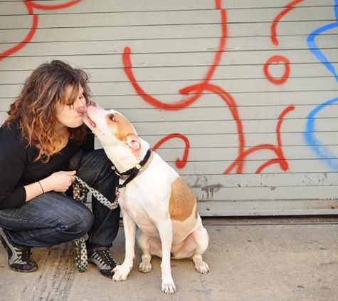 Friend to the Furry - Brooklyn, NY