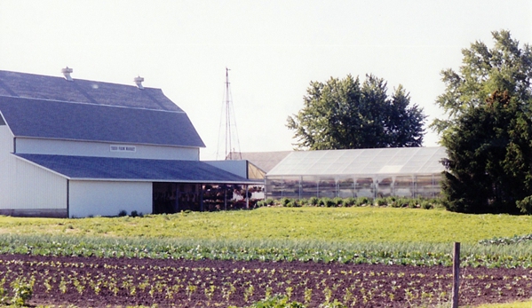 Theis Farm Market - Maple Park, IL