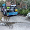 Mighty Sam Pressure Washing gallery