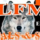 Wolfman Rentals & Sales - Tool Rental