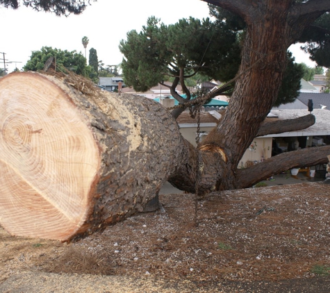 Walker's Tree Service - Bellflower, CA