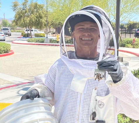 Bee Removal Pros - Murrieta, CA