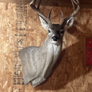 Sportsmen's Wildlife Studio - Taxidermists