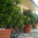 The Delacado on Sunset Beach - Resorts