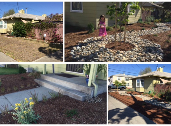 Burbank Botanical Landscaping - Castro Valley, CA. Before and after collage (1st pic before shot, the rest are after)