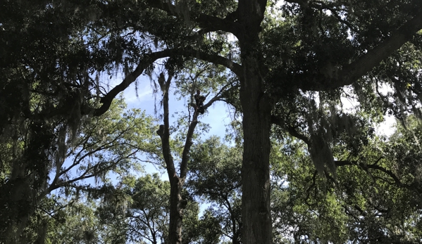 Dunkle's Tree Service - Jacksonville, FL