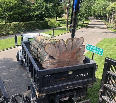 Todds Tree Service Inc - Mantua, OH