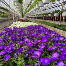 Blooms By Bogner - Greenhouses