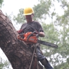 Coast to Coast Tree Service gallery