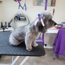 Puppy Love Grooming - Pet Grooming