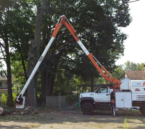 Arrow Tree Service - Springfield, MA