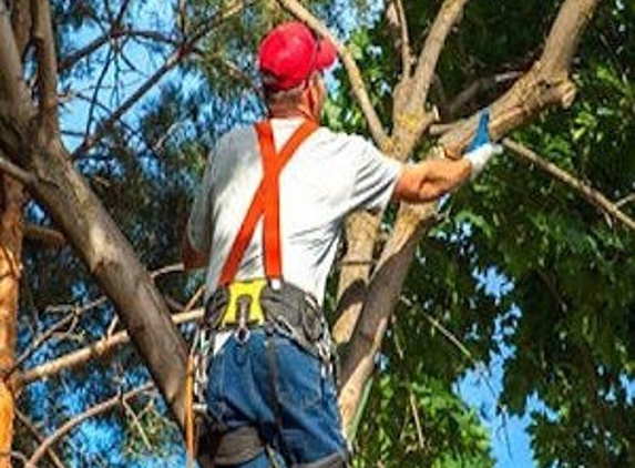 Stallworth's Tree Service Huntsville - Huntsville, AL