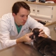 Frederick Cat Vet