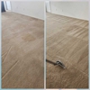 3:20 Carpet Cleaning gallery