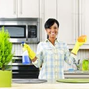 Johnson City Pro Cleaning - House Cleaning