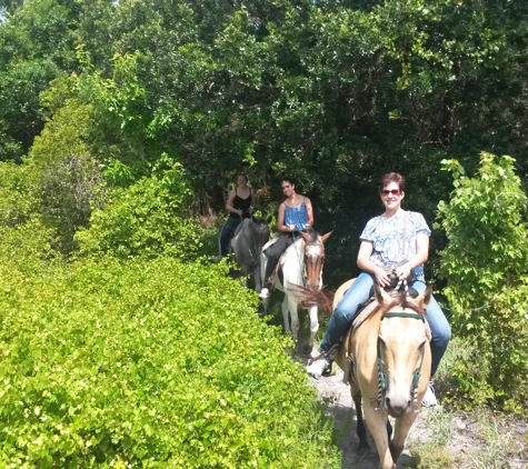 Sun City Stables - Sun City, FL