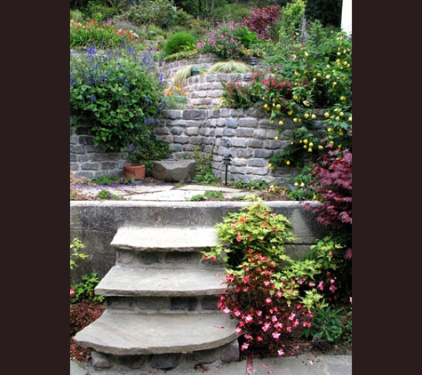 Artisans Landscape Inc. - San Francisco, CA