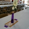Dollar Tree gallery