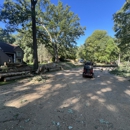 Holland Tree Services - Arborists
