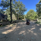 Holland Tree Services