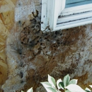 Sunrise Plastering & Stone - Stucco & Exterior Coating Contractors