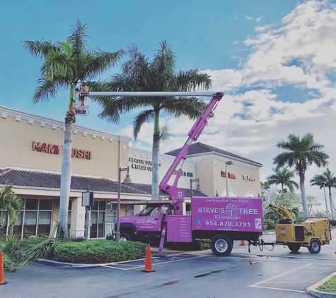 Steves Tree and Landscape Corp - Palmetto Bay, FL. Hard at work