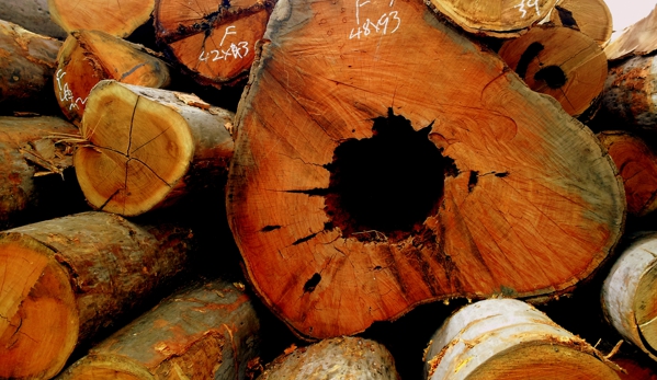 Enrights Sawmill - Beaudesert, QLD