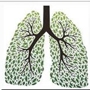 COPD Respiratory Service