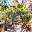 Flowerland - Nursery & Growers Equipment & Supplies
