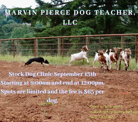 Marvin Pierce Dog Teacher - Sherwood, OR