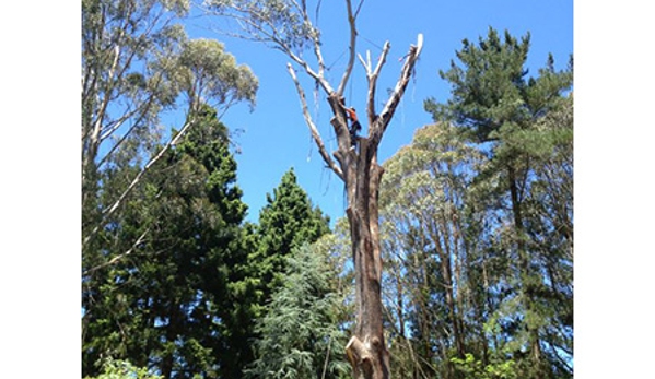 Oliver Shoemark Tree Service Pty Ltd - West Bathurst, NSW