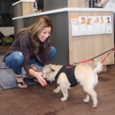 Wag Hotels - Santa Clara - Pet Boarding & Kennels