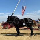 Box Elder Horse & Carriage
