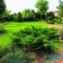 James Peck Landscape Service - Landscape Contractors