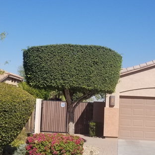 Down To Earth Landscaping Services - Phoenix, AZ