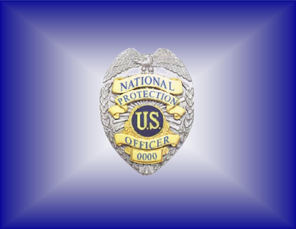 National Security & Protective Services, Inc. - Fort Worth, TX