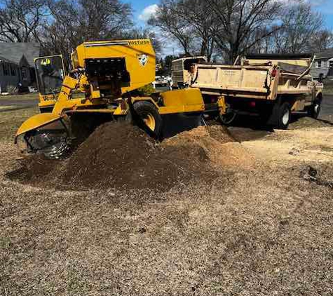 Evergreen Tree Service - Windsor Locks, CT