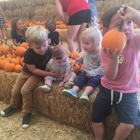 Oma's Pumpkin Patch