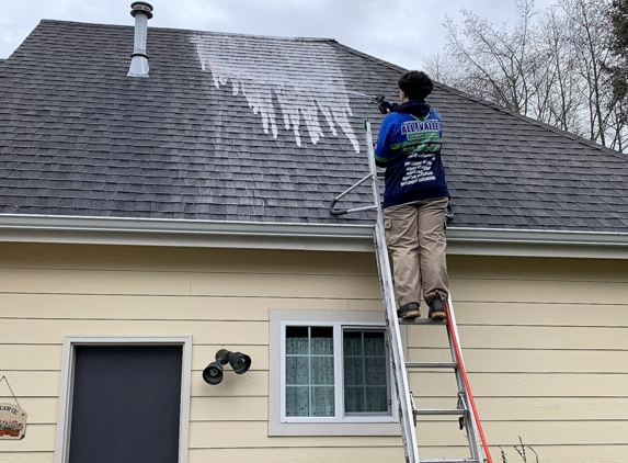 All Valley Exterior Cleaning - Anacortes, WA. Roof Cleaning (Low Pressure)