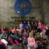 Monterey Bay Aquarium gallery